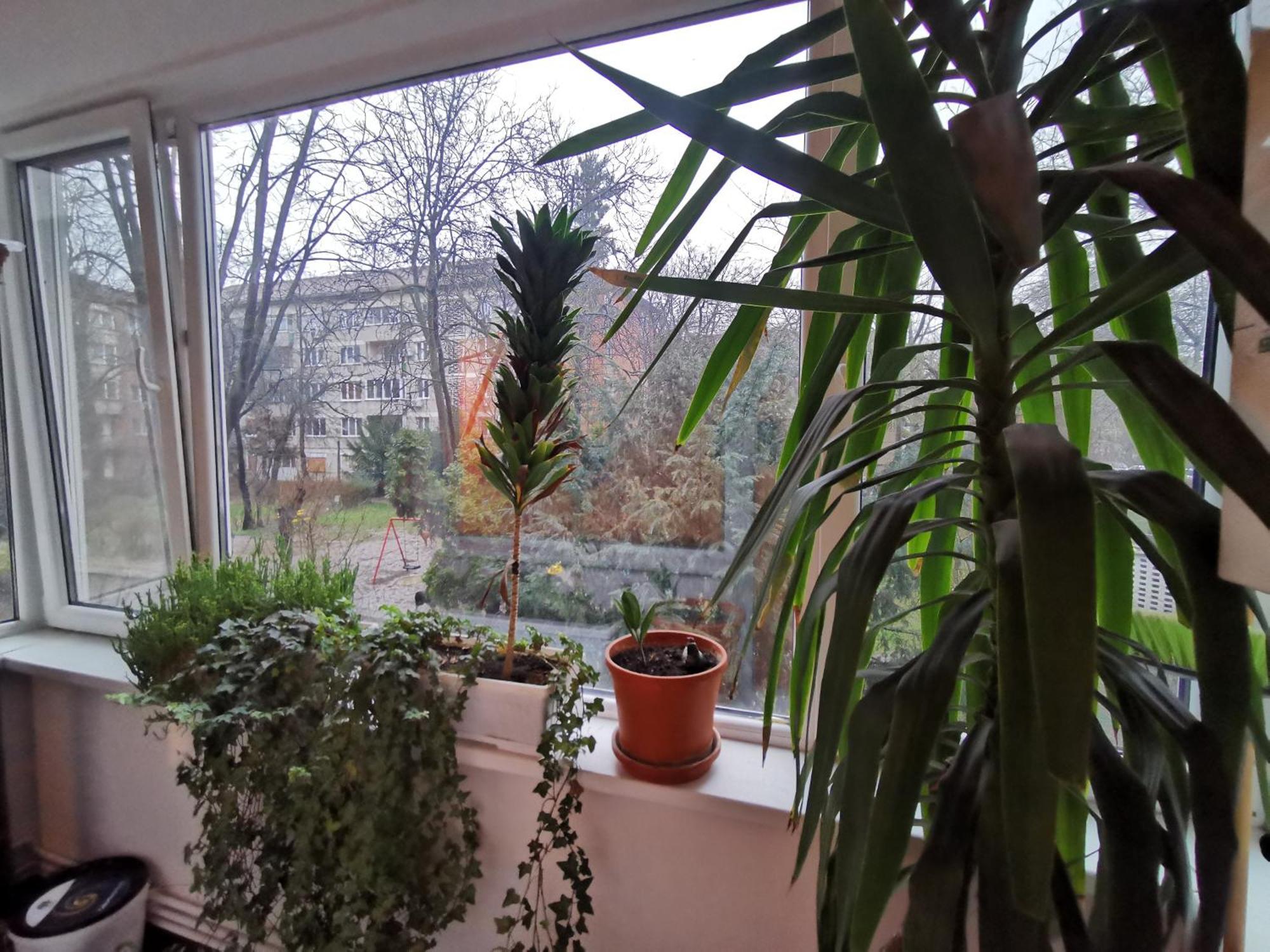 Comfy & Pleasant Apartment 10 Min Walk To Downtown Timişoara Exterior foto
